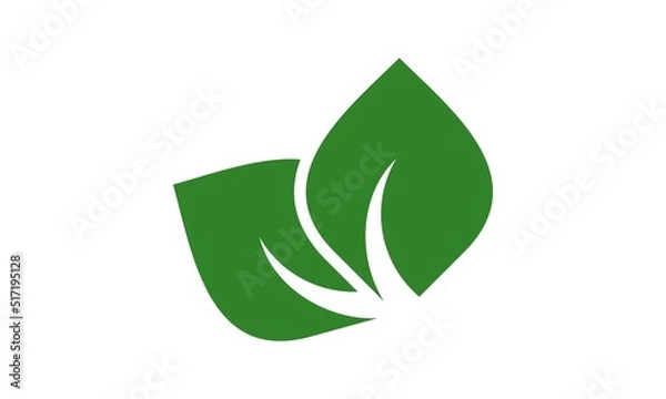 Fototapeta icon green leaf vector