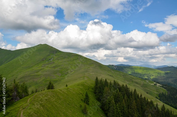 Fototapeta Picturesque view of mountain ridge, valley and grassland scenery in the Carpathian mountains under blue sky and white clouds