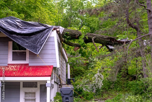 Fototapeta Fallen tree on a house is covered with a tarp until the rain stops and a tree crew can do clean up
