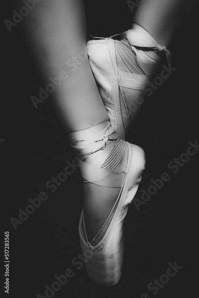 Obraz black and white