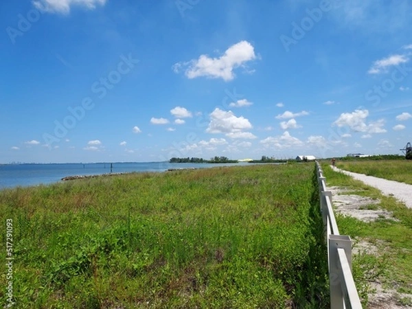 Obraz path to the sea