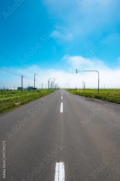 Obraz 北海道の道路