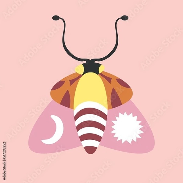Fototapeta Moth with sun and moon symbols, magic insects