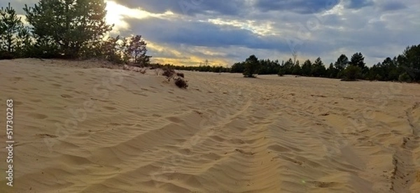Obraz footprints in the sand