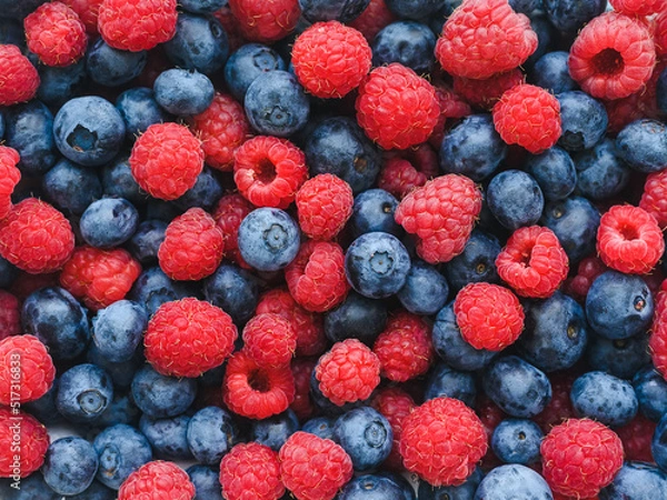 Obraz background: a lot of blueberries and raspberries - a harvest of summer berries