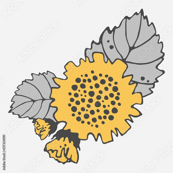 Fototapeta Stylized sunflower vector drawing with large flowers and buds on a branch, varied foliage. yellow and gray leaves. Botany for printing products from fabric, covers, paper, upholstery, curtains