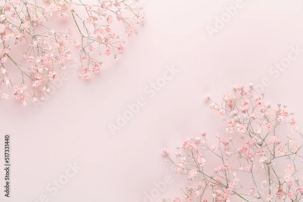Obraz Beautiful flower background of pink gypsophila flowers. Flat lay, top view. Floral pattern.