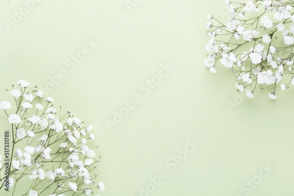 Fototapeta Beautiful flower background of pink gypsophila flowers. Flat lay, top view. Floral pattern.