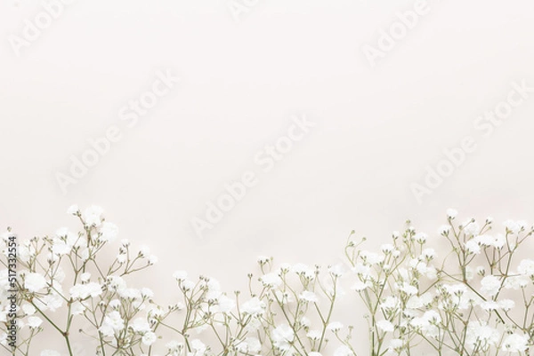 Fototapeta Beautiful flower background of pink gypsophila flowers. Flat lay, top view. Floral pattern.