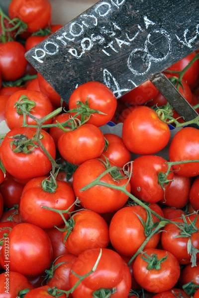 Obraz Tomatoes at Campo De'Fiori