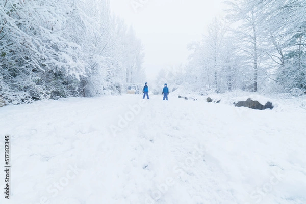 Fototapeta Two kids exploring a snowy track between white pines