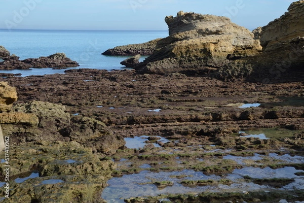 Obraz Low tide on the coast from Biarritz