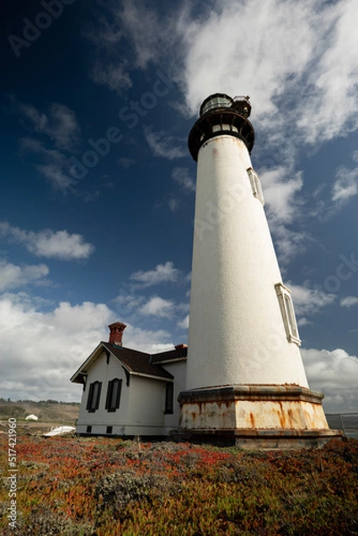 Obraz lighthouse on the coast