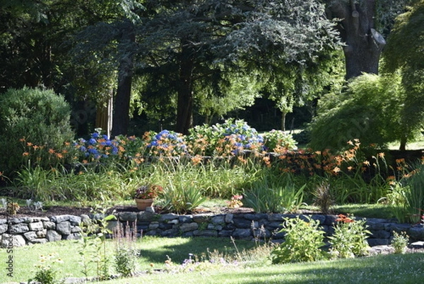 Obraz Back yard garden