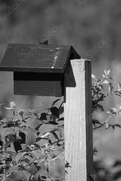 Obraz Birdhouse on post