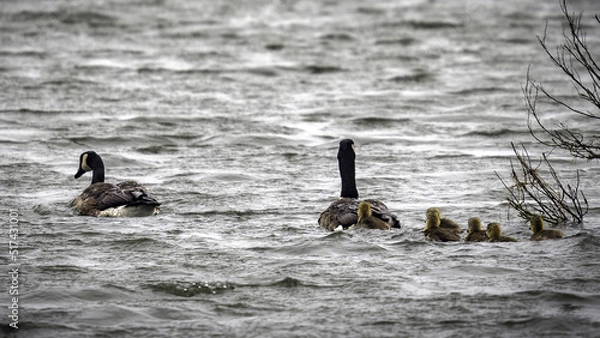 Obraz 2022-05-11 Brigantine