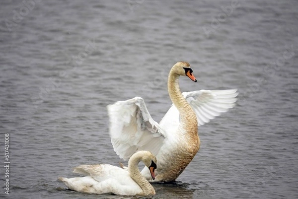 Obraz 2022-05-11 Brigantine