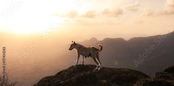Obraz Irshalgad fort