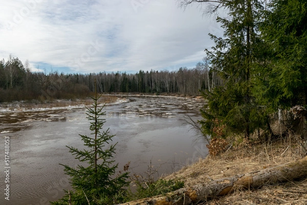 Obraz river in early spring, ice river, Gauja river near Cesis, Latvia