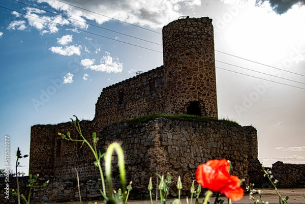 Fototapeta castillo de peñaflor