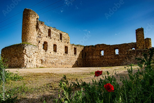 Fototapeta castillo de peñaflor