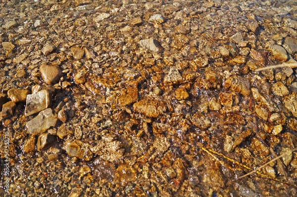 Fototapeta Yellow stones lying at the bottom of a mountain river under clear water on a sunny day