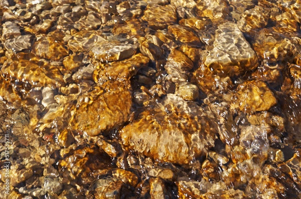 Fototapeta Yellow stones lying at the bottom of a mountain river under clear water on a sunny day