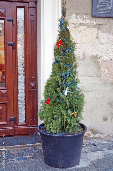 Fototapeta A Christmas tree decorated with red festive balls in a pot on the streets of Lviv