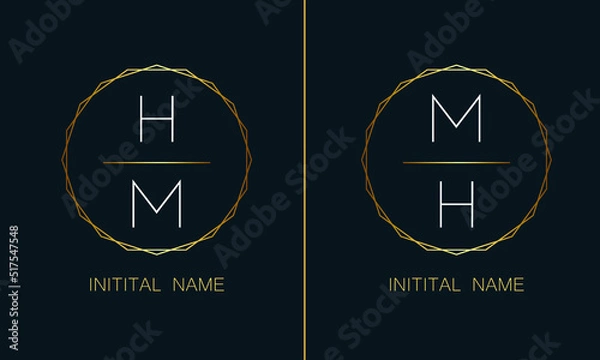 Fototapeta Stylish luxury logo in golden, white color with black background, Business abstract vector logo monogram template with thumbnails