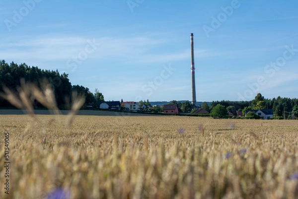 Obraz Nové Podlesí