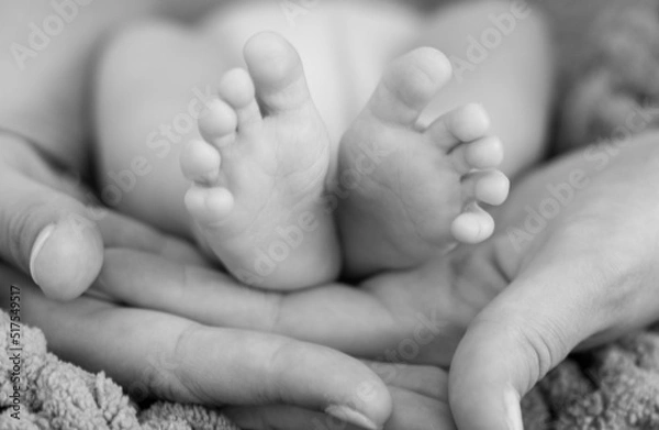 Obraz newborn foot