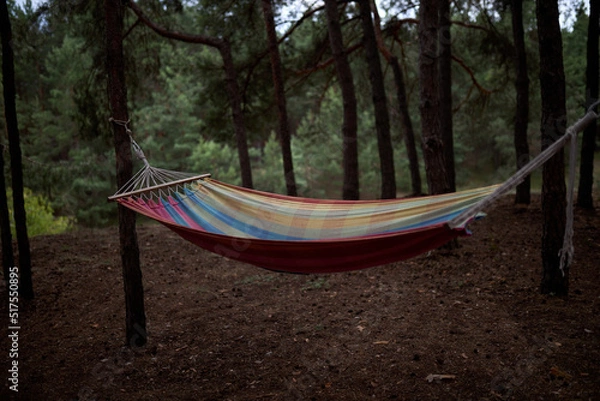 Fototapeta A hammock is stretched between trees in the forest. High quality photo