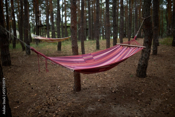 Fototapeta A hammock is stretched between trees in the forest. High quality photo