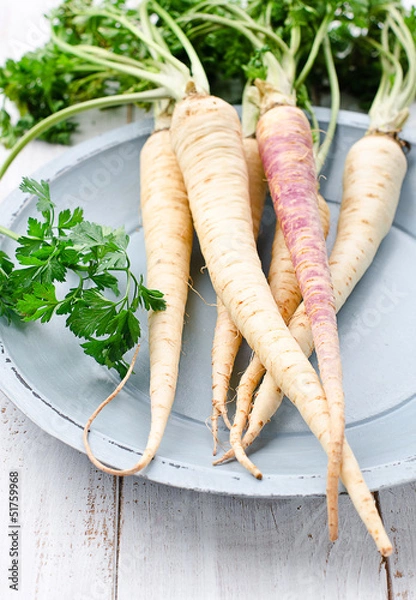 Obraz Petersilienwurzel