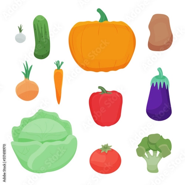 Fototapeta Vector illustration of colorful vegetables.  An organic vegetable highlighted on a white background is used for a magazine, book, poster, postcard, menu cover, web pages, printing. Templates.