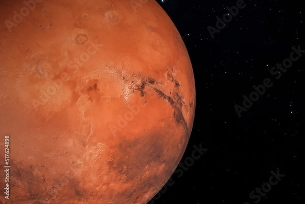 Fototapeta Mars is one of the planets in the solar system. 3d illustration