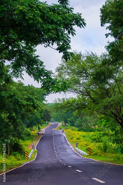 Obraz winding road in the forest