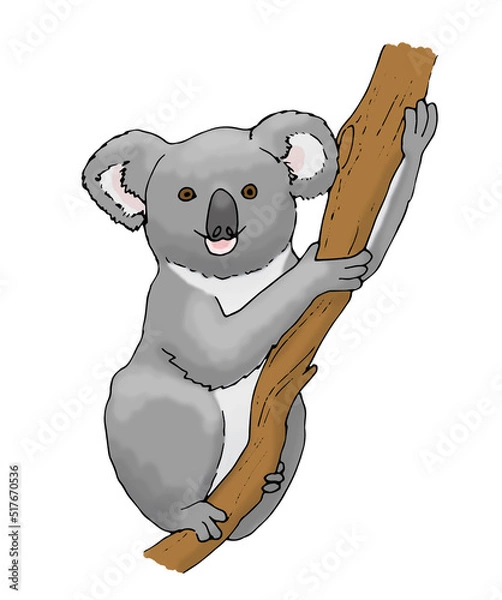 Obraz Koala am Ast