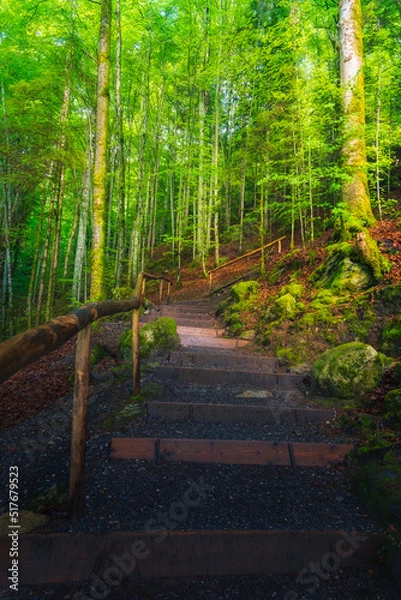 Fototapeta Natural setting of Giessbach Falls, east of Lake Brienz in the Bernese Oberland in Switzerland.