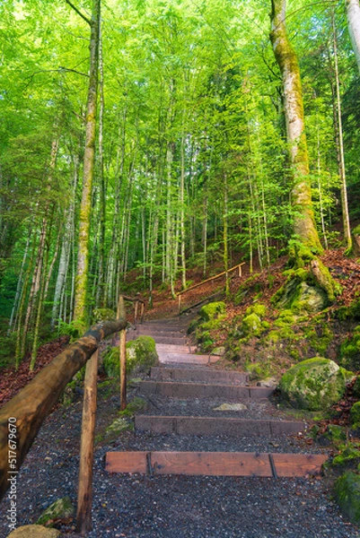 Fototapeta Natural setting of Giessbach Falls, east of Lake Brienz in the Bernese Oberland in Switzerland.