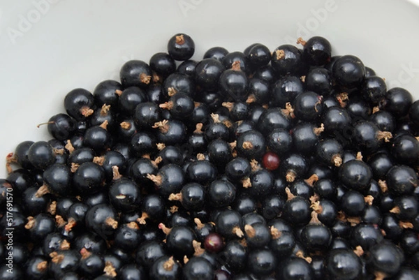 Fototapeta Johannisbeeren schwarz in Schüssel