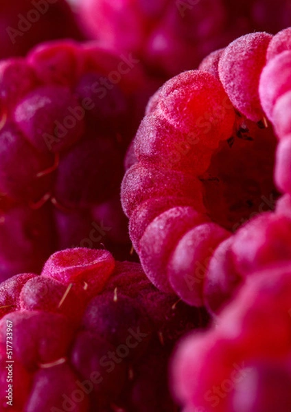 Obraz Raspberry fruit macro photography