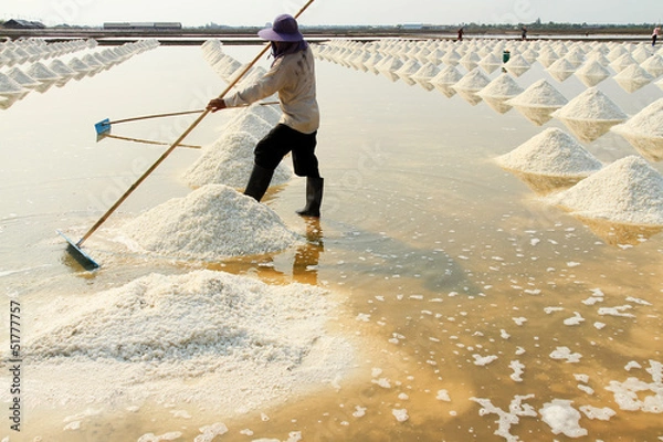 Obraz People make salt.