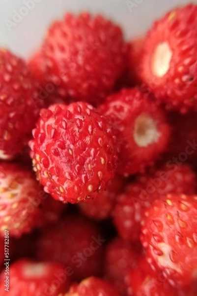 Obraz Closeup of red strawberries. Forest berries close-up. Red glossy surface with small grains. Favorite childhood treat.