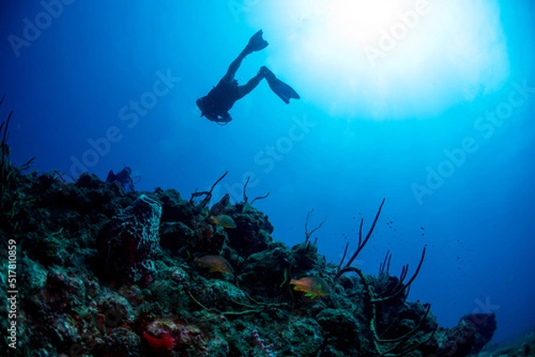 Obraz scuba diver in the sea