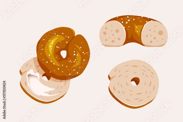 Obraz Organic bagel vector illustration collection