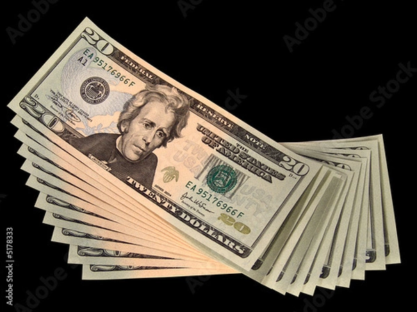 Obraz US Twenty Dollar Bills
