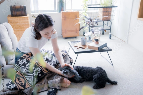 Obraz 明るい植物のある室内でペットの黒のトイプードル犬と遊ぶ女性
