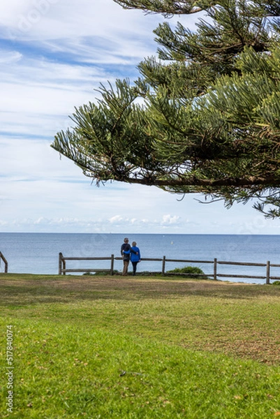 Obraz Lone coastal tree on grassy park overlooking the sea
