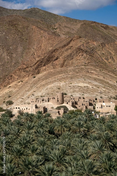 Obraz village in oman near palm tree oasis